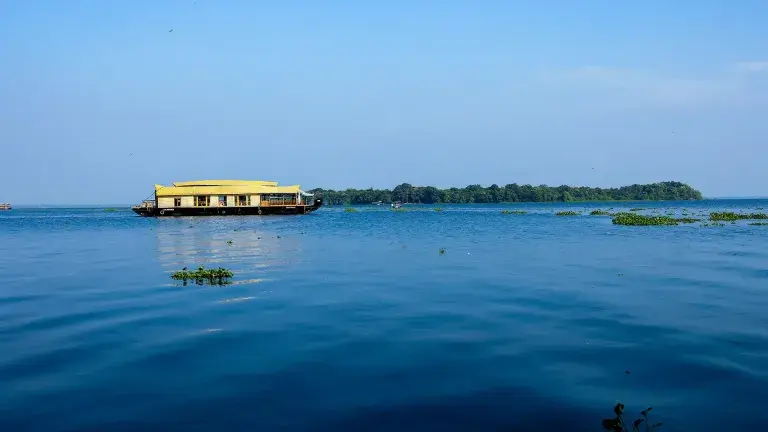 Blog Image